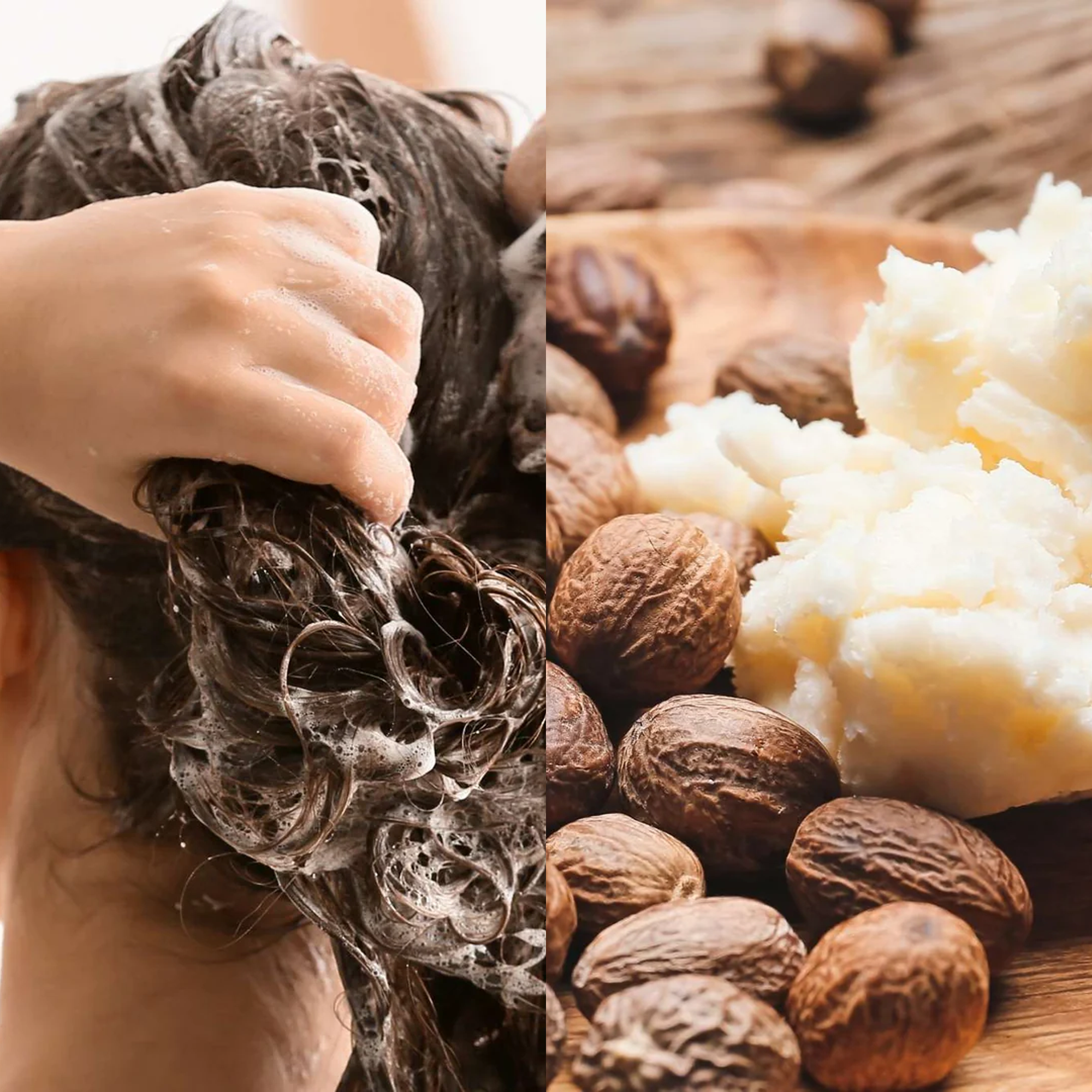 Le Petit Olivier – Shampooing Baume Soin Réparateur Karité & Macadamia (250 ml)