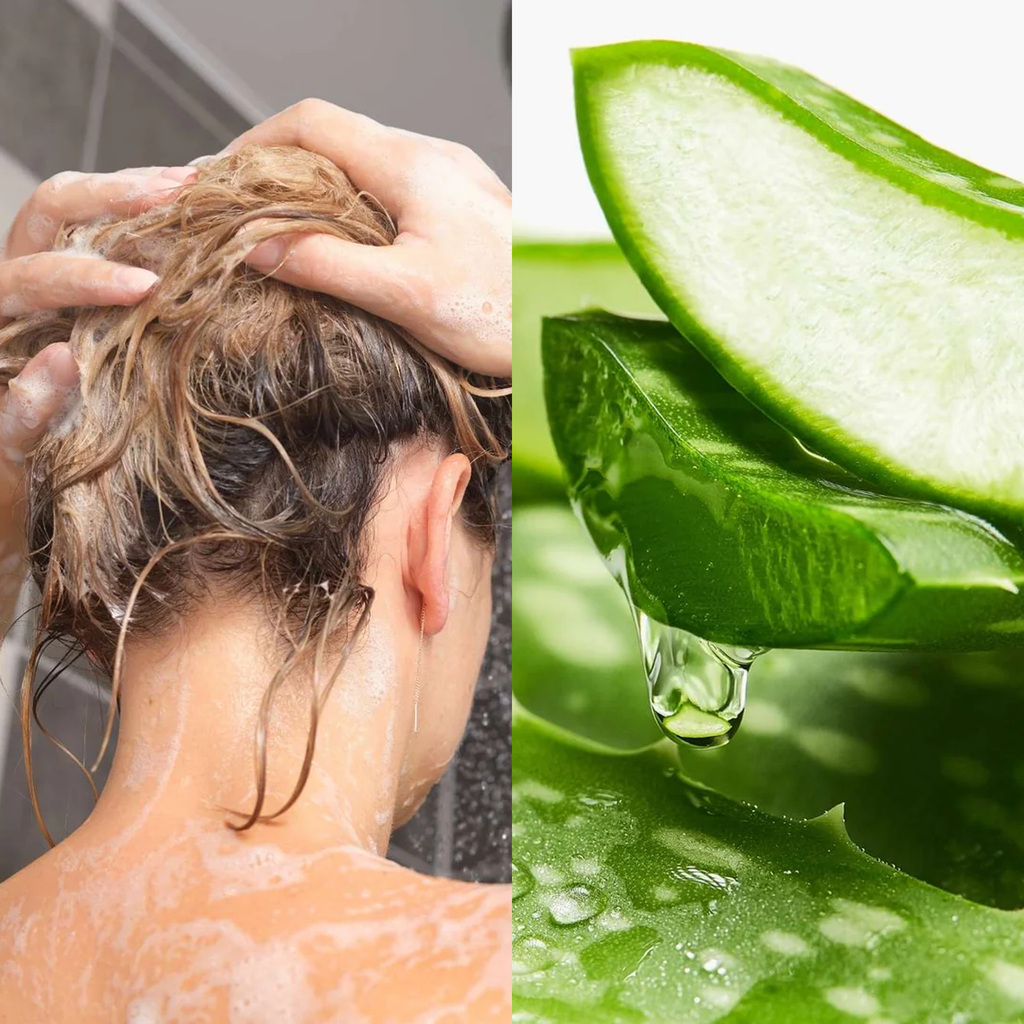 Le Petit Olivier – Shampooing Micellaire Soin Purifiant Aloe Vera & Thé Vert (250 ml)